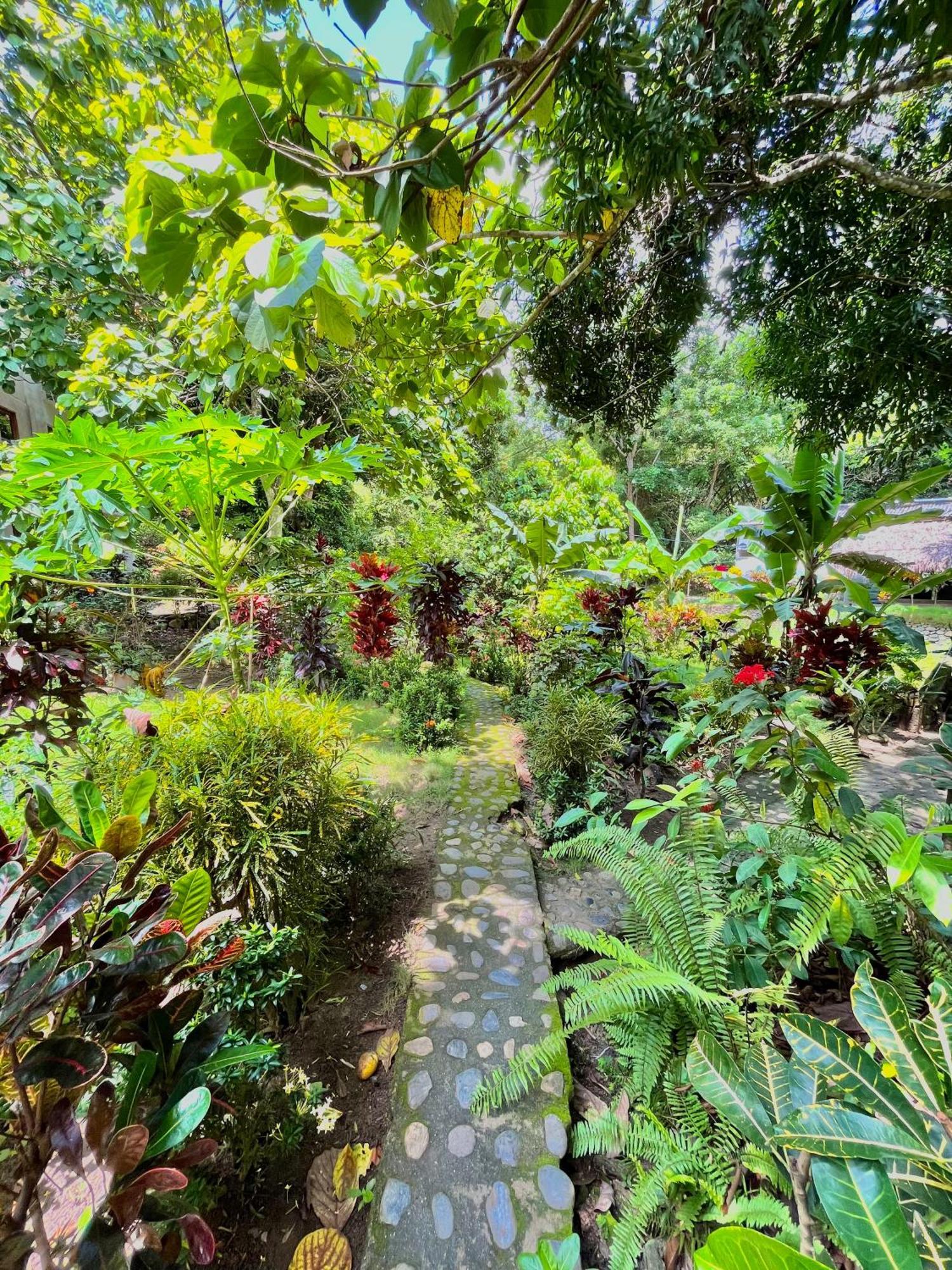 Santuario Tayrona Hostel Calabazo  Eksteriør billede