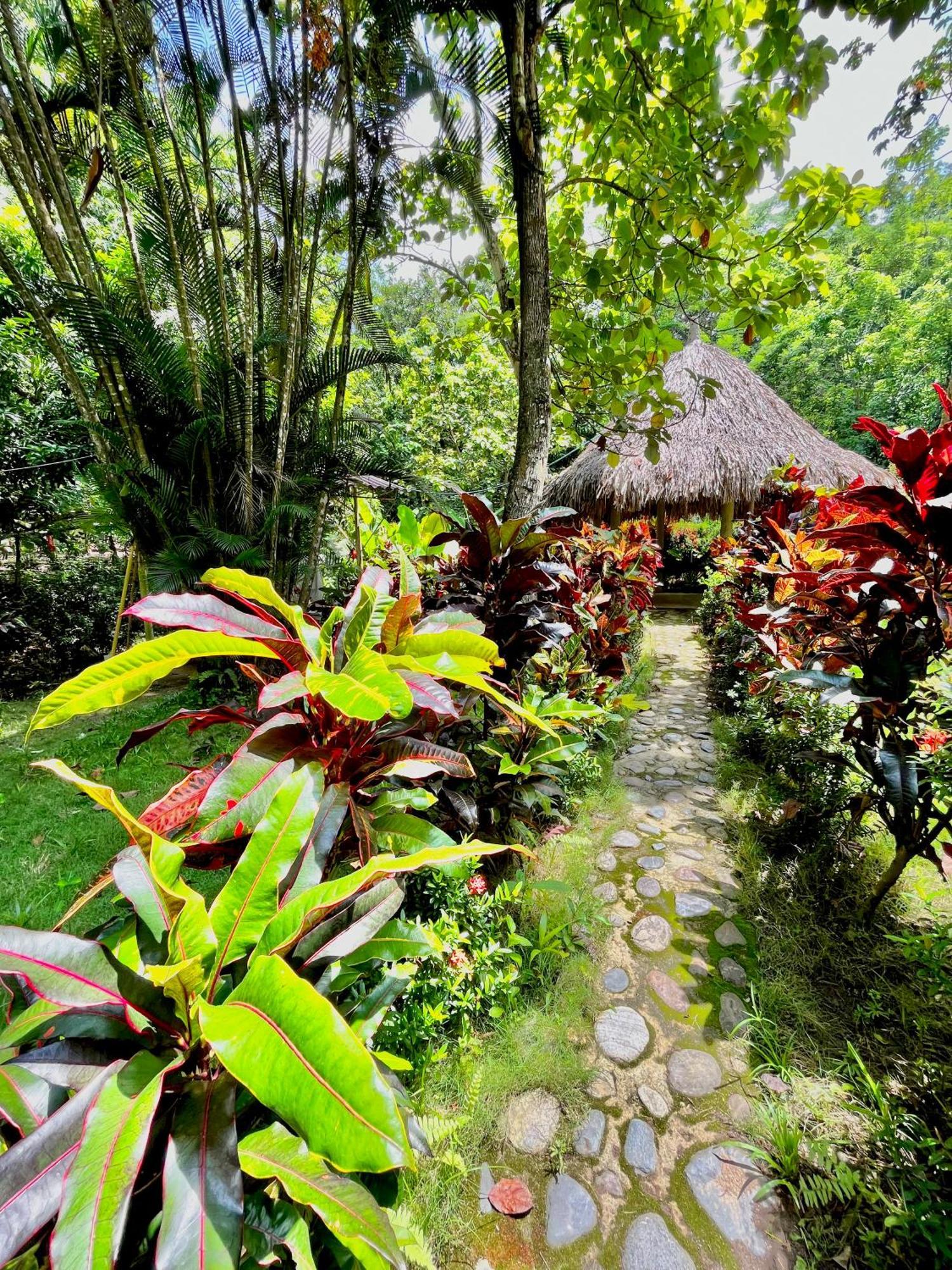 Santuario Tayrona Hostel Calabazo  Eksteriør billede